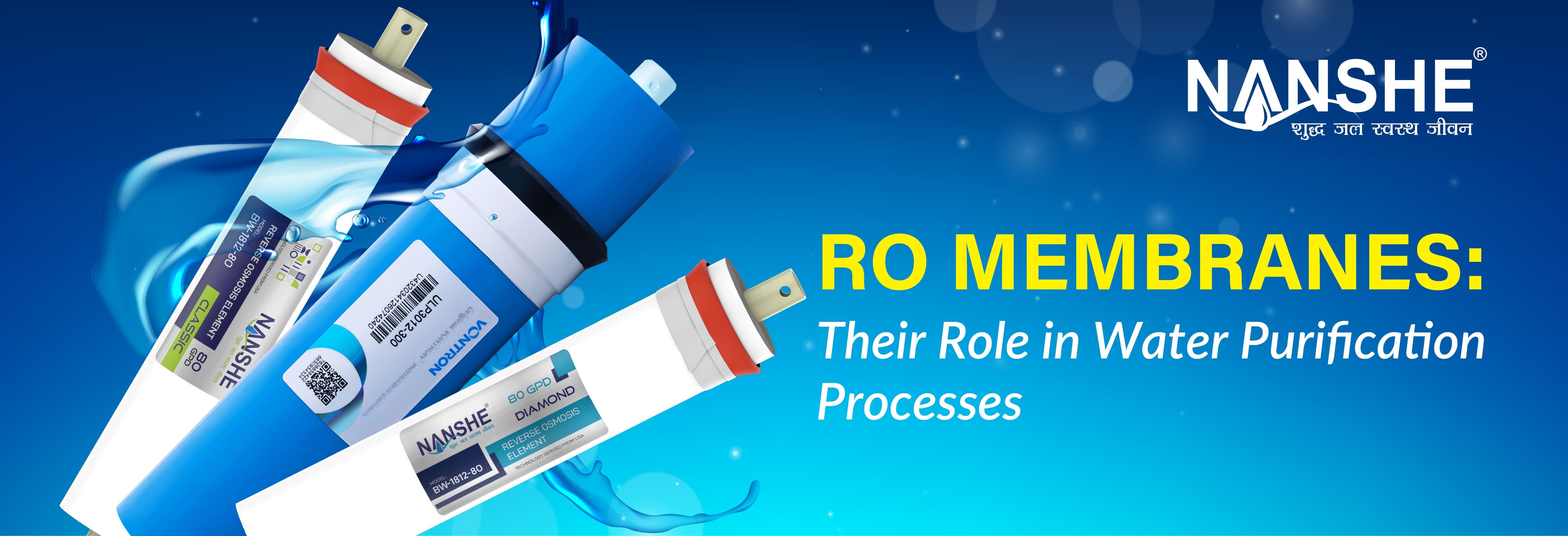 RO Membranes: Their Role in Water Purification Processes